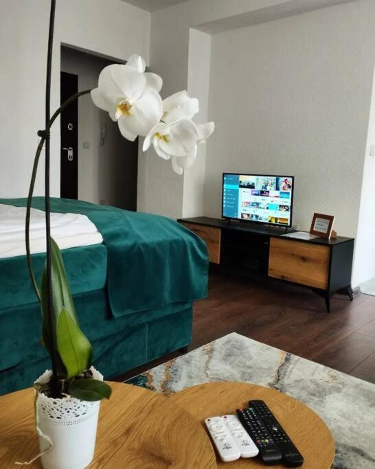 Zeid City Center Apartment 塞拉耶佛 外观 照片